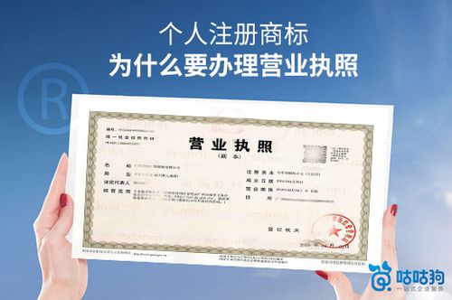 营业执照注册资金怎么查(营业执照怎么降低注册资金)