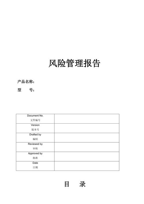 风险管理报告(风险管理报告如何定义项目参数)